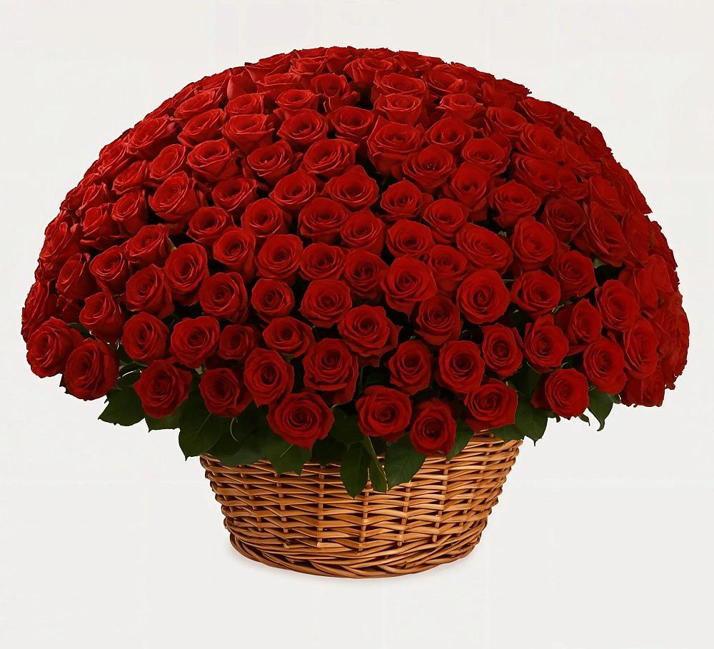 Премиум букет из: Розы в Аксёново-Зиловском